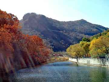 澳门最精准免费资料大全旅游团.警惕虚假宣传-系统管理执行